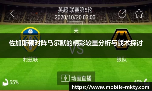 mk体育官网